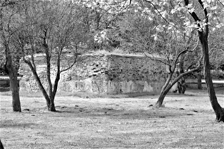 Dendrarium Park, Chisinau