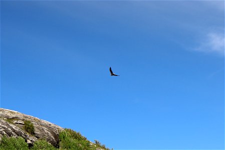 Mulstrand Bodø
