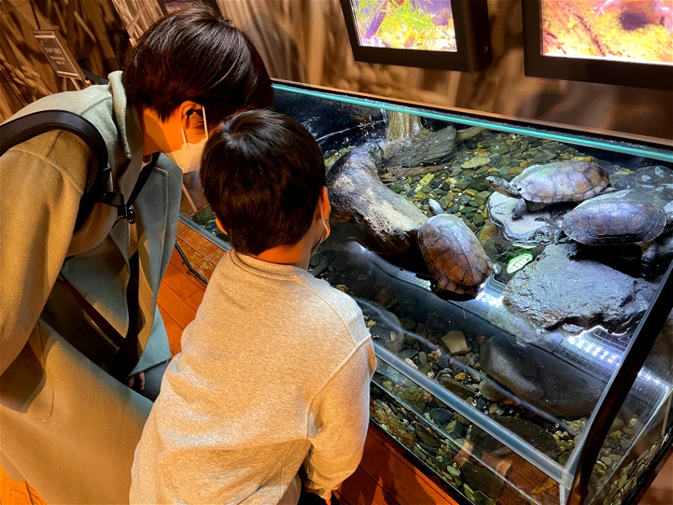 京都水族館 / Kyoto Aquarium