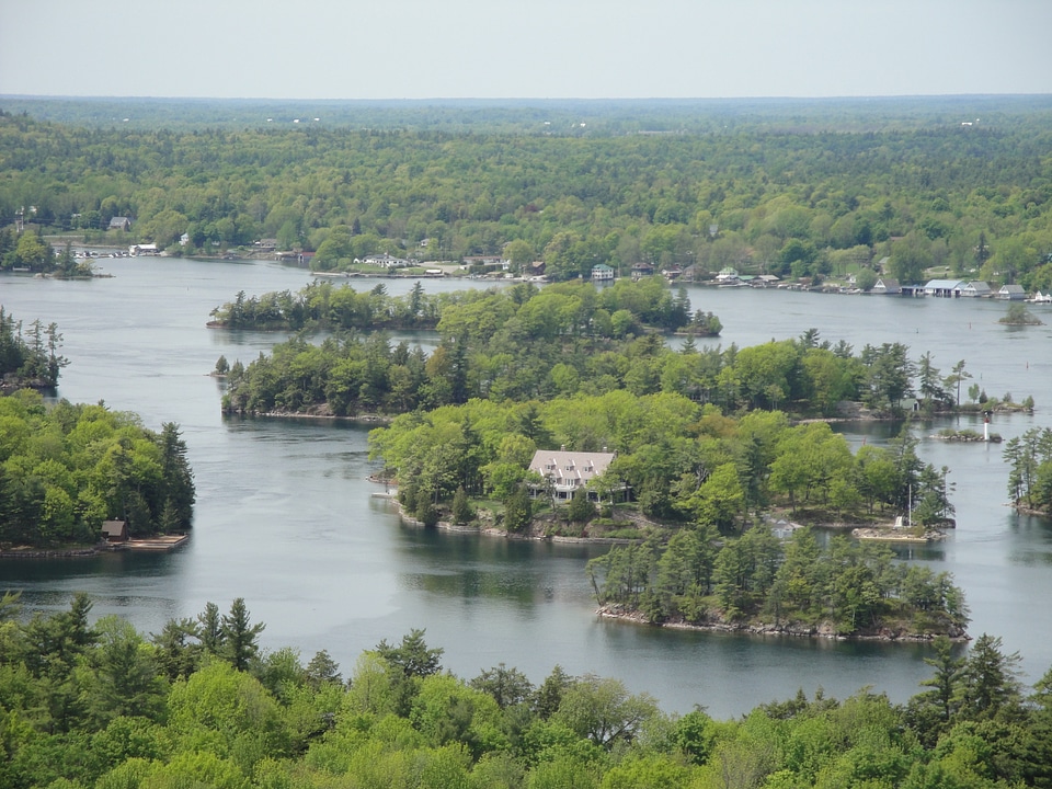 Nature america forest