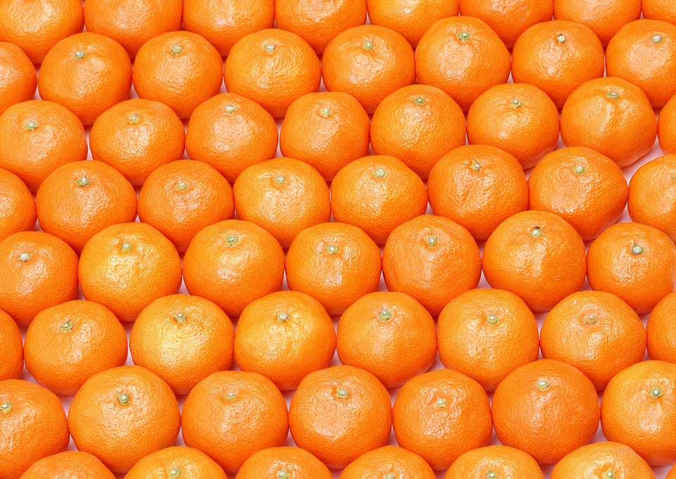 Set of citrus fruits