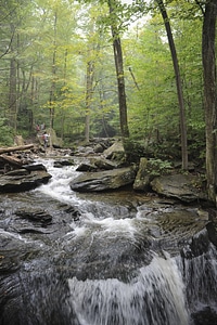 Ricketts Glen State Park