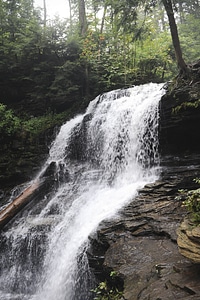 Ricketts Glen State Park