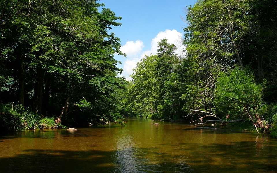 Watauga River in western North Carolina