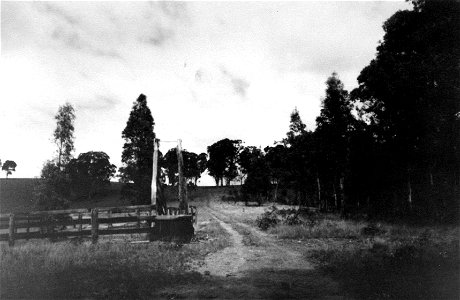 Entrance to a property in the Hunter Valley, NSW, [n.d.] photo