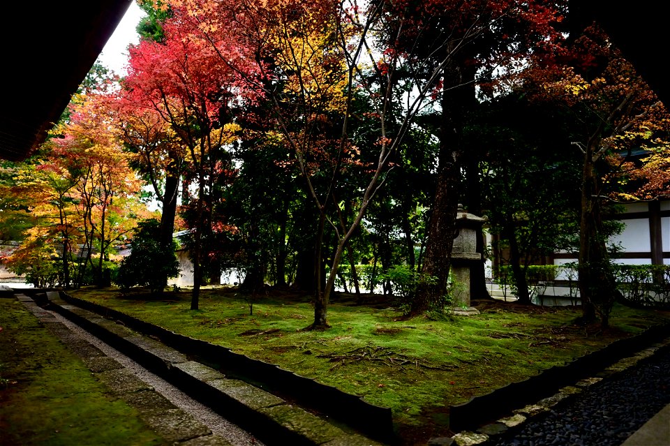 京都龍安寺/Kyoto Ryoanji