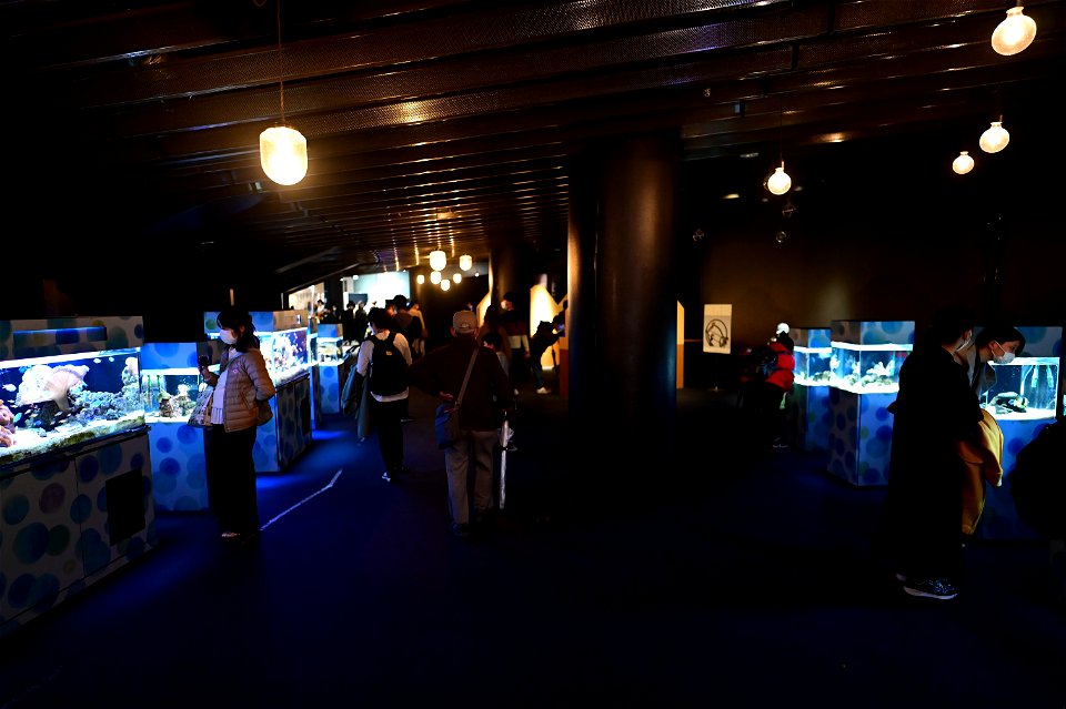 京都水族館 / Kyoto Aquarium