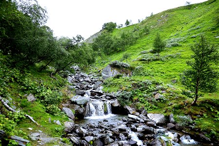 IMG_3289