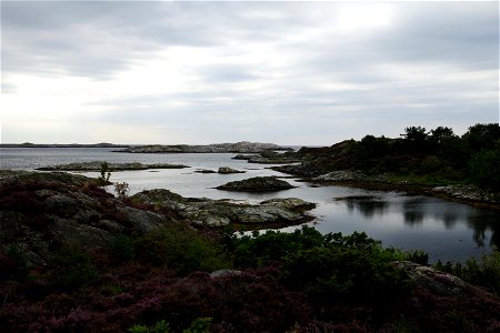 IMG_8756