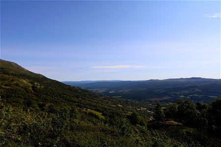 IMG_3398