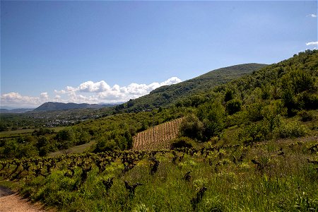 Camino de Invierno. Camiño de Inverno