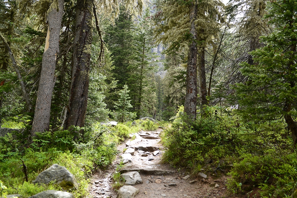 Grand Teton National Park