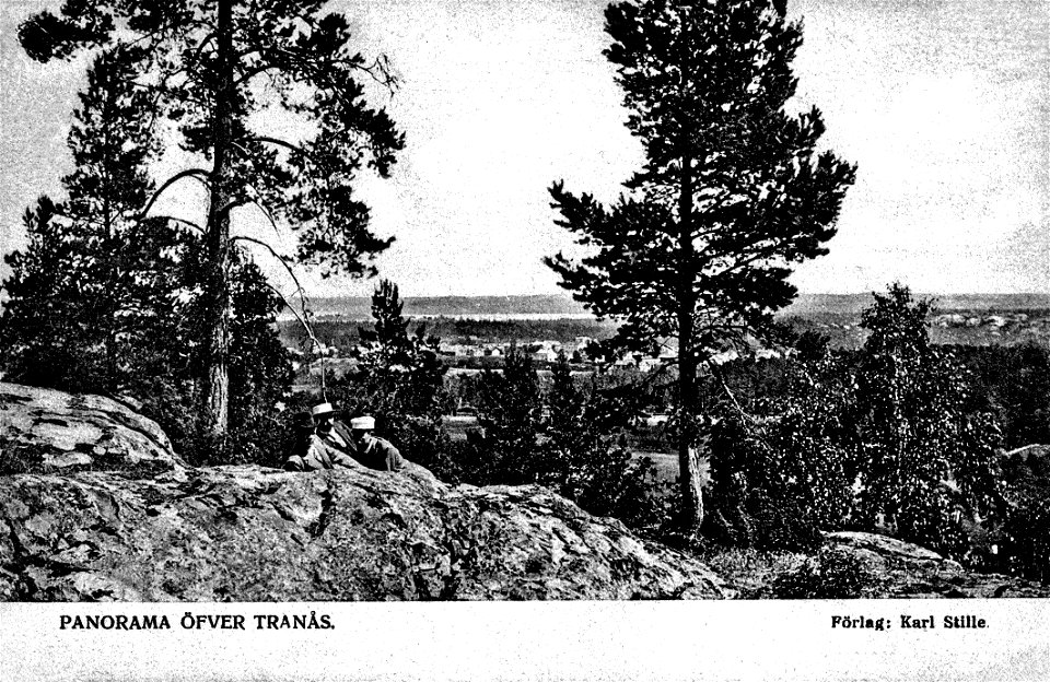 394 Panorama över Tranås