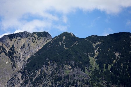 IMG_7132