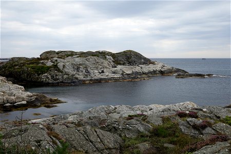 IMG_8773