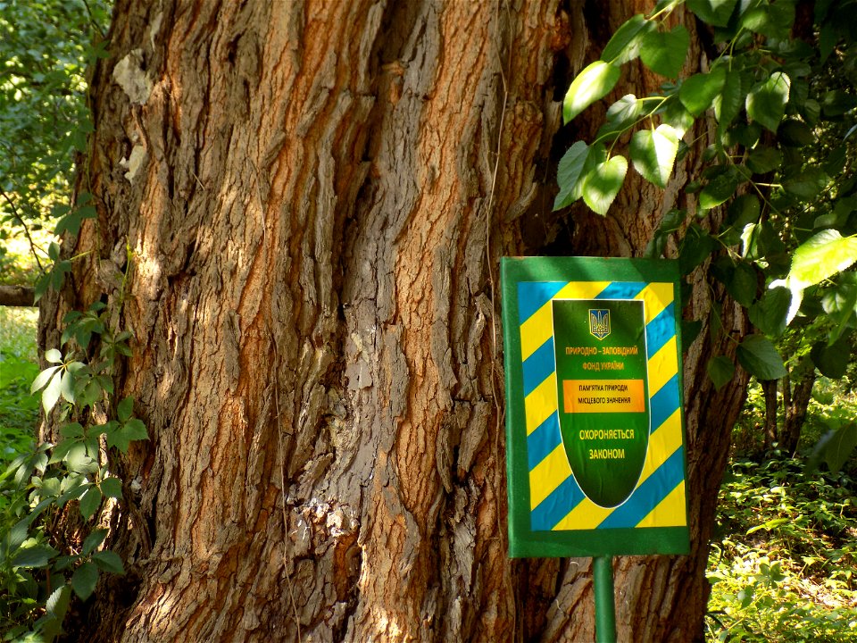 Hryshko National Botanical Garden