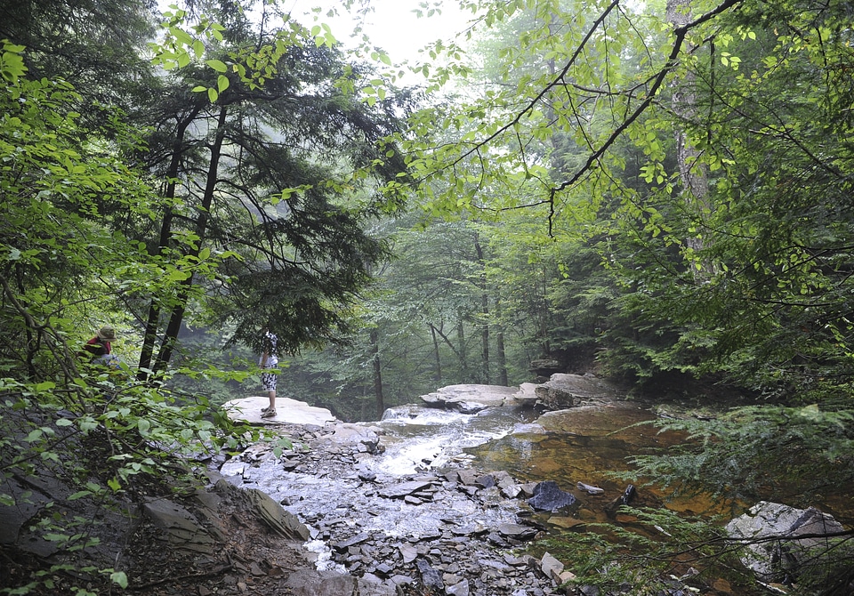 Ricketts Glen State Park