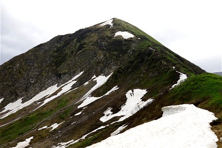 IMG_6923