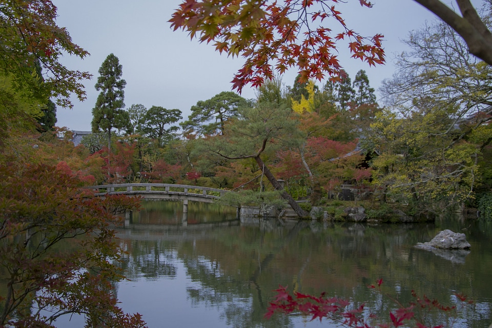 A buddhist temple in the forest in Nara, Japan