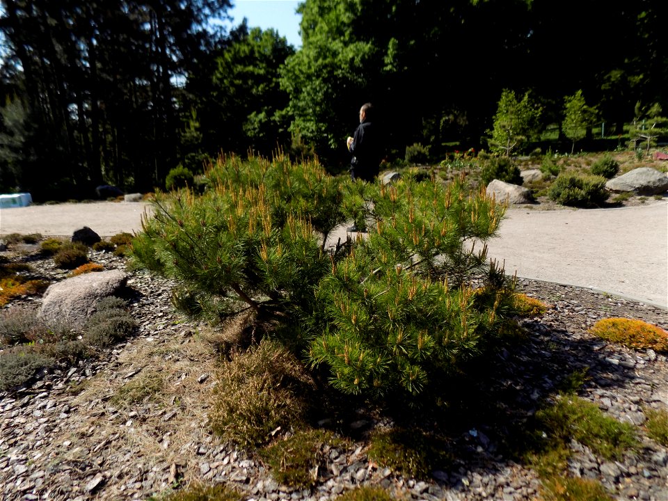 Hryshko National Botanical Garden