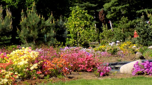 Hryshko National Botanical Garden