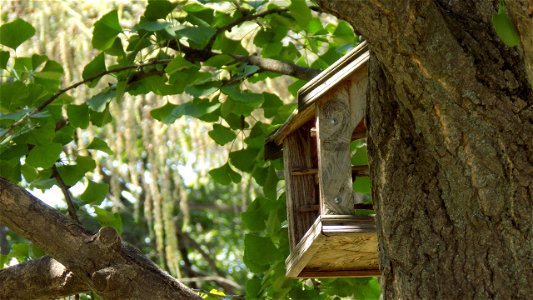 Hryshko National Botanical Garden
