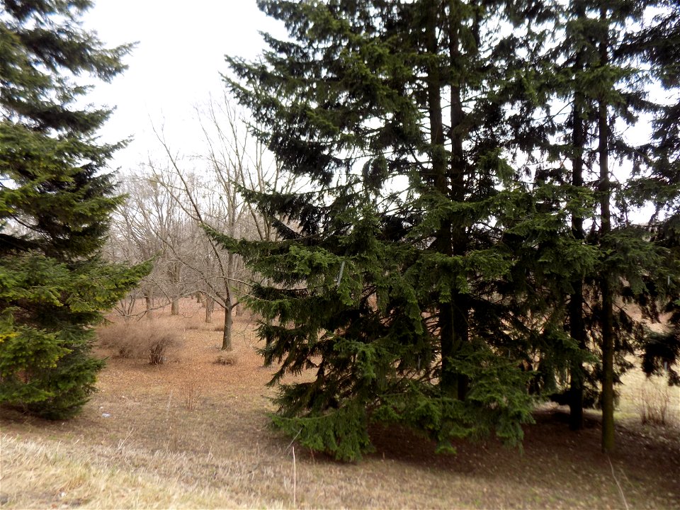 Hryshko National Botanical Garden
