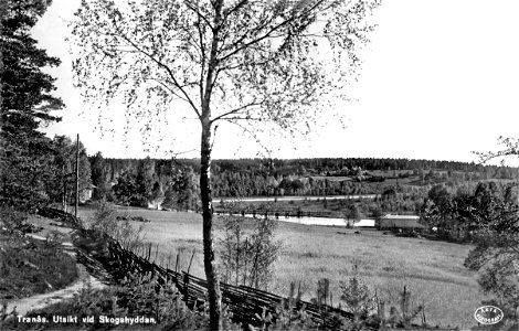 053 Utsikt från Skogshyddan  (Svartån)