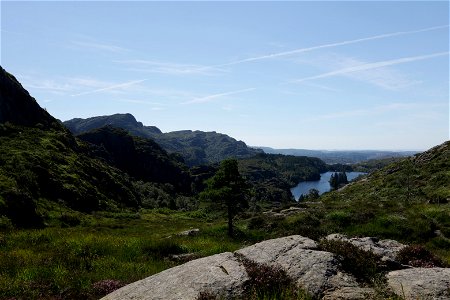 IMG_8356