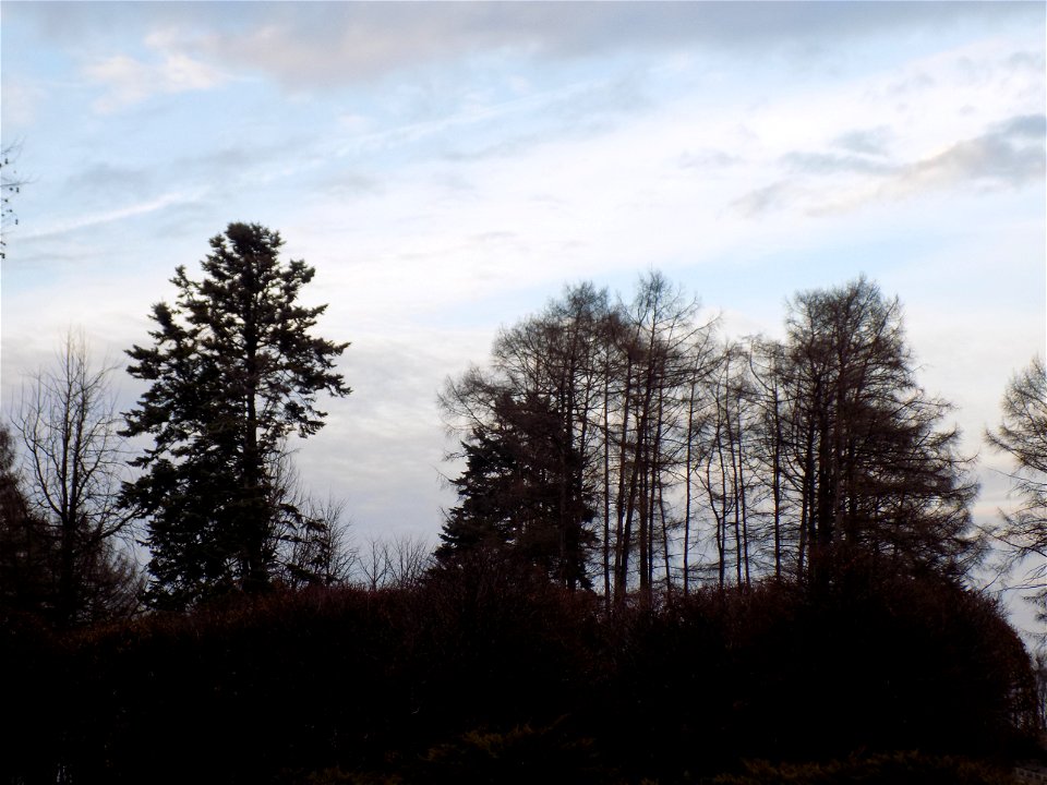 Hryshko National Botanical Garden