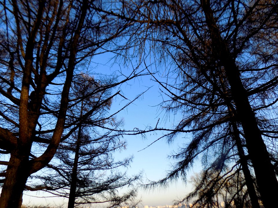 Hryshko National Botanical Garden