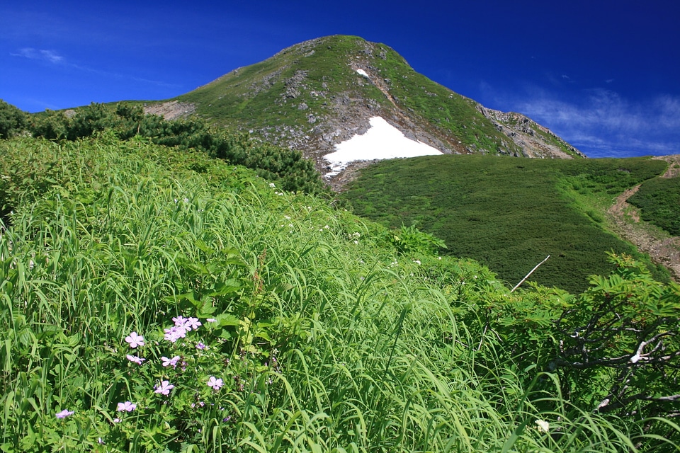 Summer mountain, Shirakawa-go, Japan