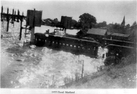 Maitland Flood, Maitland, NSW, 1955