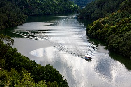 Camino de Invierno. Camiño de Inverno