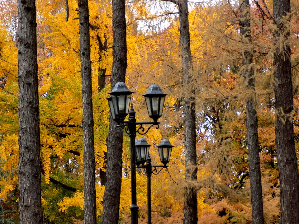 Hryshko National Botanical Garden
