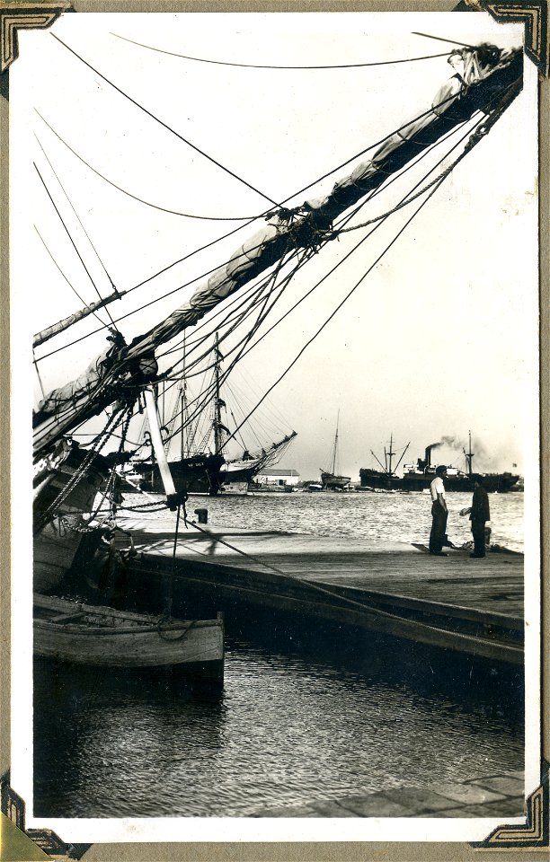 Le Quai des Volliers, Tunis, Tunisia - Postcard