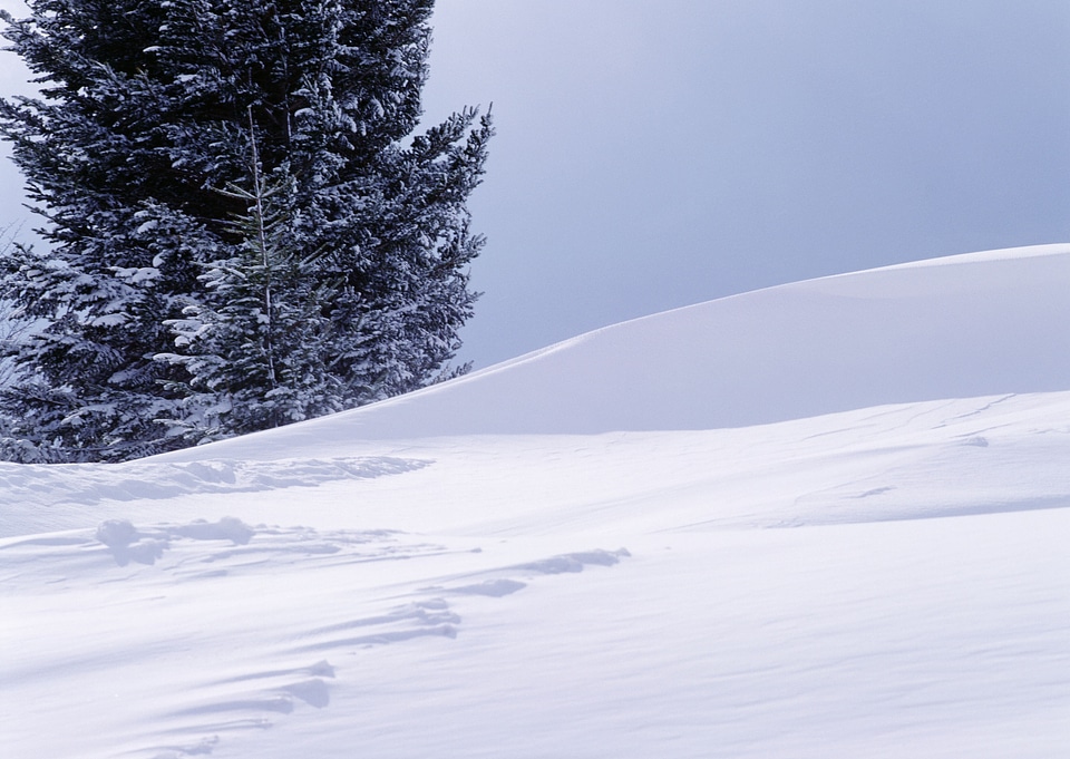 Beautiful winter landscape