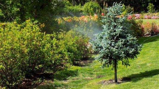 Hryshko National Botanical Garden