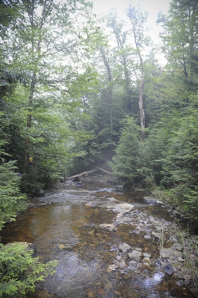 Ricketts Glen State Park