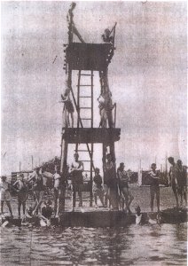 Ellalong Lagoon or Catchaboy Swamp diving tower photo