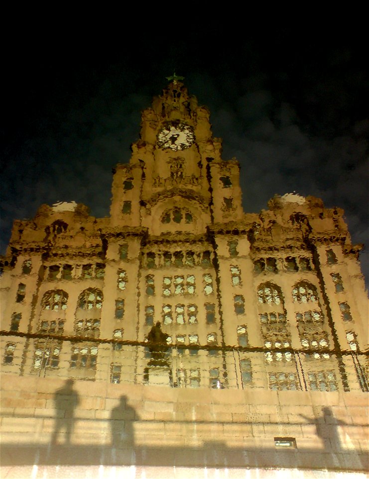 Liver Building Reflection