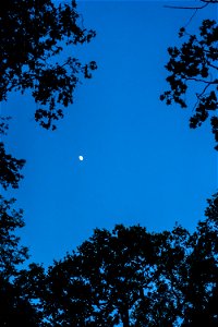 DSC07598