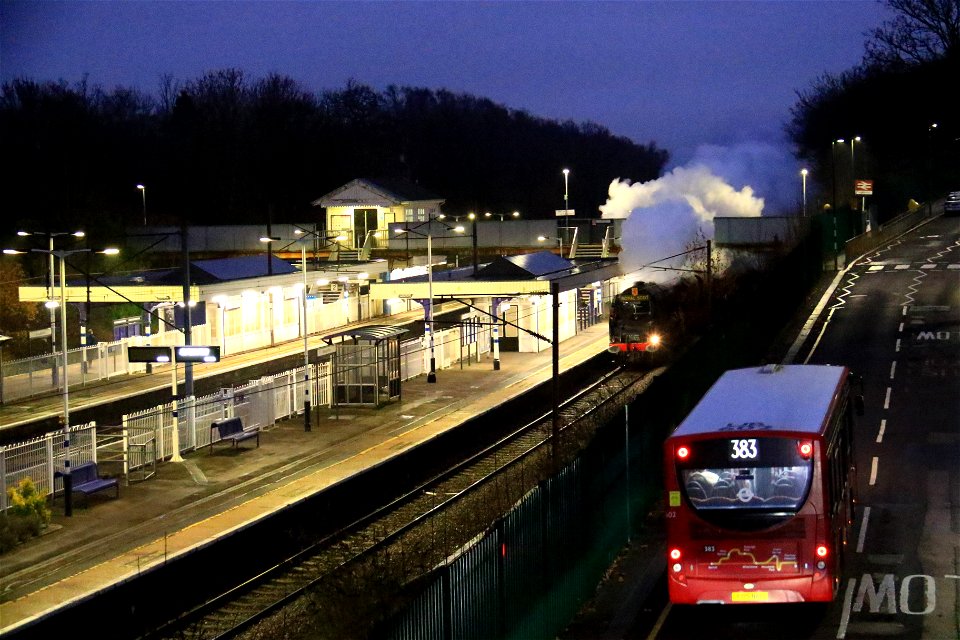 18 Dec 2021: Duchess of Sutherland on Christmas White Rose