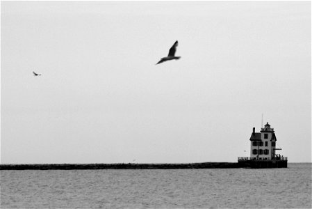 Lorain Lighthouse and Gulls