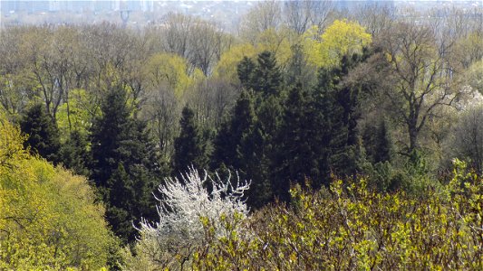 Hryshko National Botanical Garden