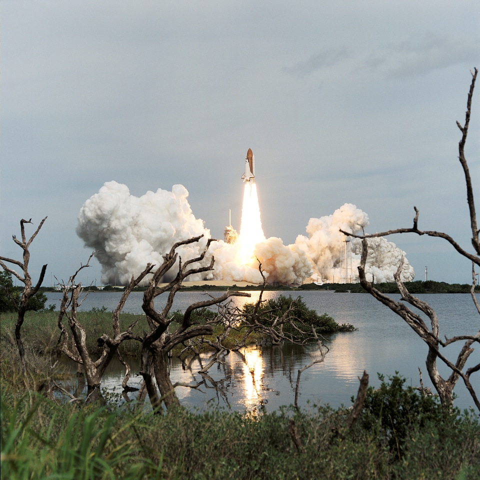 Marsh driftwood and Florida shrubbery frame the liftoff
