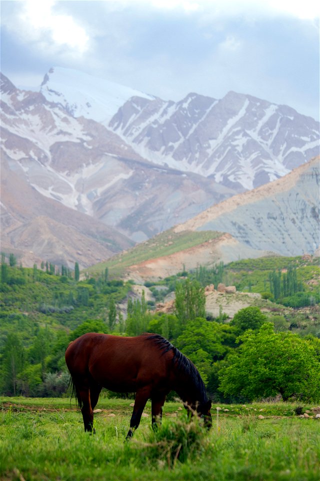 جاذبه های گردشگری ایران