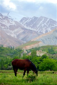 جاذبه های گردشگری ایران
