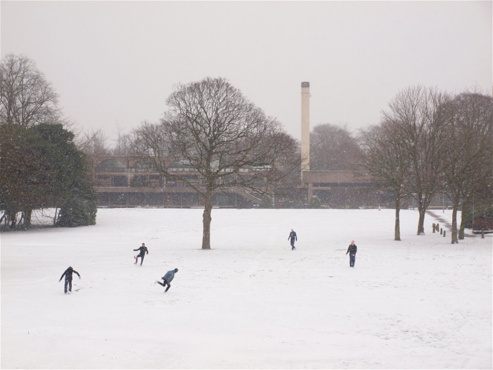 View from Rankin Hall - Liverpool University