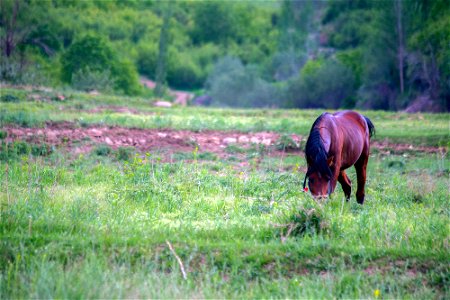 جاذبه های گردشگری ایران